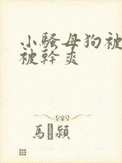 小骚母狗被调教被干爽