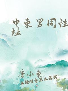 中东男同性恋网址