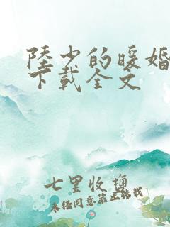 陆少的暖婚新妻下载全文