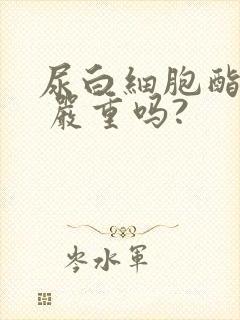 尿白细胞酯酶2 严重吗?