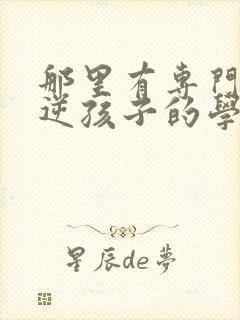 那里有专门管叛逆孩子的学校