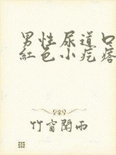 男性尿道口出现红色小疙瘩