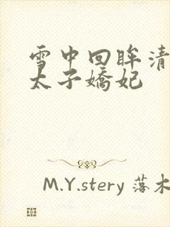 雪中回眸清穿之太子娇妃