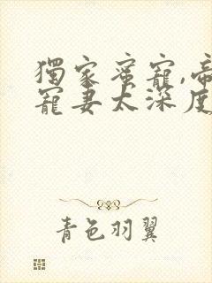 独家蜜宠,帝少宠妻太深度小说全文免费阅读