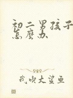 初二男孩子厌学怎么办