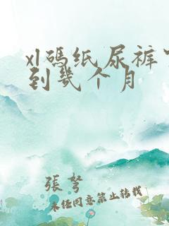 xl码纸尿裤穿到几个月