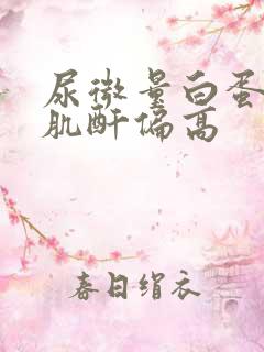 尿微量白蛋白/肌酐偏高