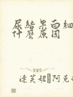 尿结果白细胞高什么原因