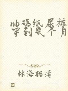 nb码纸尿裤能穿到几个月