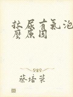 拉尿有气泡是什么原因