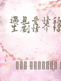 遇见爱情的利先生剧情介绍全集