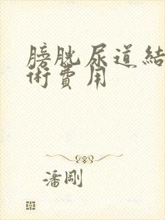 膀胱尿道结石手术费用