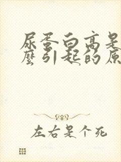 尿蛋白高是是什么引起的原因