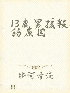 13岁男孩叛逆的原因