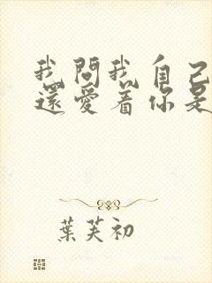 我问我自己是否还爱着你是什么歌