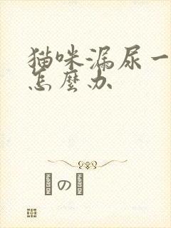 猫咪漏尿一两滴怎么办