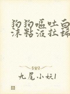 狗狗呕吐白色泡沫粘液拉稀