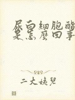 尿白细胞酯酶高是怎么回事