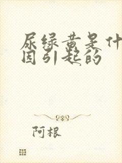 尿绿黄是什么原因引起的