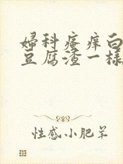 妇科瘙痒白带象豆腐渣一样