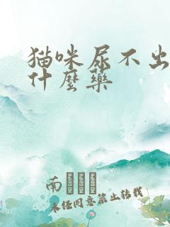 猫咪尿不出来吃什么药