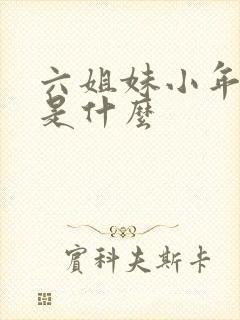 六姐妹小年结局是什么