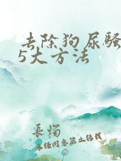 去除狗尿骚味的5大方法