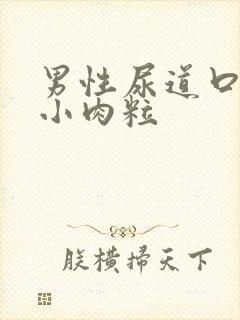 男性尿道口边有小肉粒