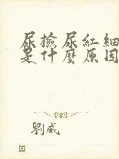 尿检尿红细胞高是什么原因