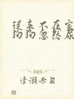 从来不在家尿的狗狗忽然尿了