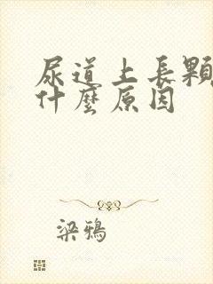 尿道上长颗粒是什么原因