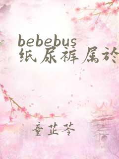 bebebus纸尿裤属于什么档次