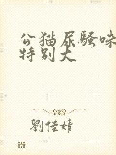 公猫尿骚味突然特别大