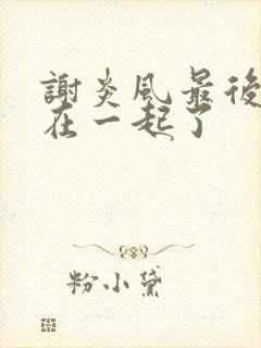 谢炎风最后和谁在一起了