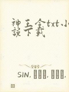 神王令txt小说下载
