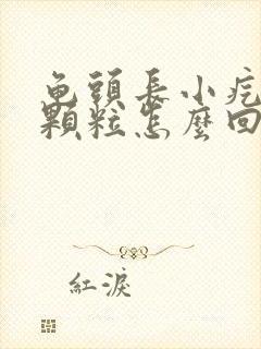 龟头长小疙瘩小颗粒怎么回事