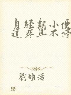 月经期小便时尿道疼且不停有尿意