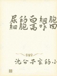 尿的白细胞和红细胞高咋回事