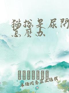 猫总是尿闭反复怎么办