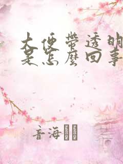 大便带透明粘液是怎么回事