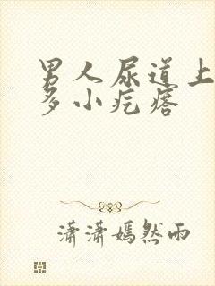 男人尿道上有很多小疙瘩