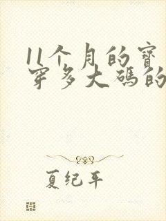 11个月的宝宝穿多大码的纸尿裤