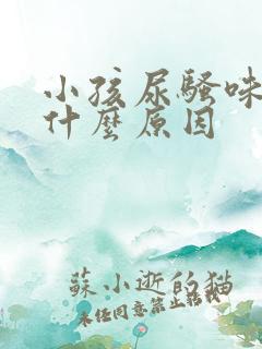 小孩尿骚味大是什么原因