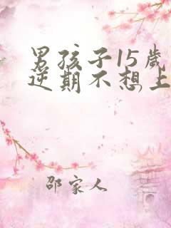 男孩子15岁叛逆期不想上学怎么办