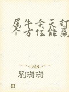 属牛今天打牌哪个方位能赢