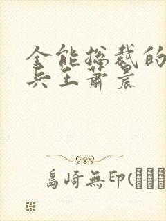 全能总裁的全能兵王萧晨