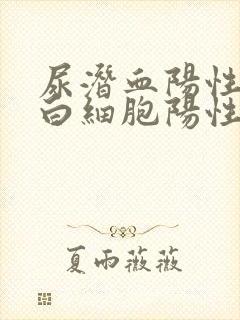 尿潜血阳性,尿白细胞阳性是咋回事