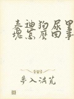 泰迪狗尿里有血块怎么回事