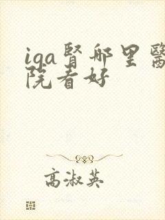 iga肾哪里医院看好