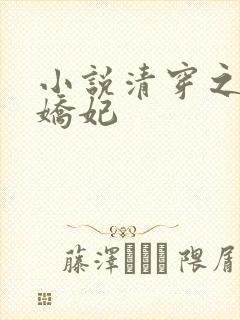 小说清穿之太子娇妃